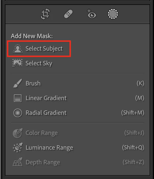Add a Subject Mask in Lightroom