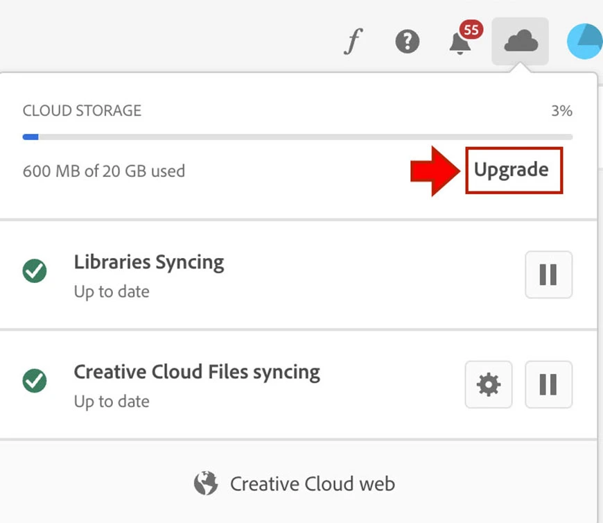 How to Maximize Your Lightroom Cloud Storage 2024