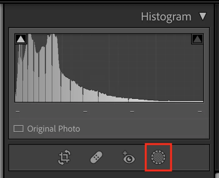 blur-the-background-in-lightroom using AI Mask